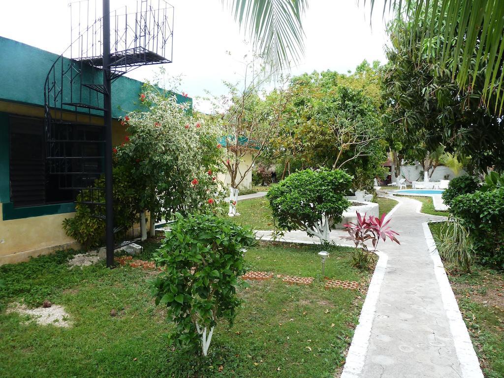 Amigos Hostel Κοζουμέλ Εξωτερικό φωτογραφία