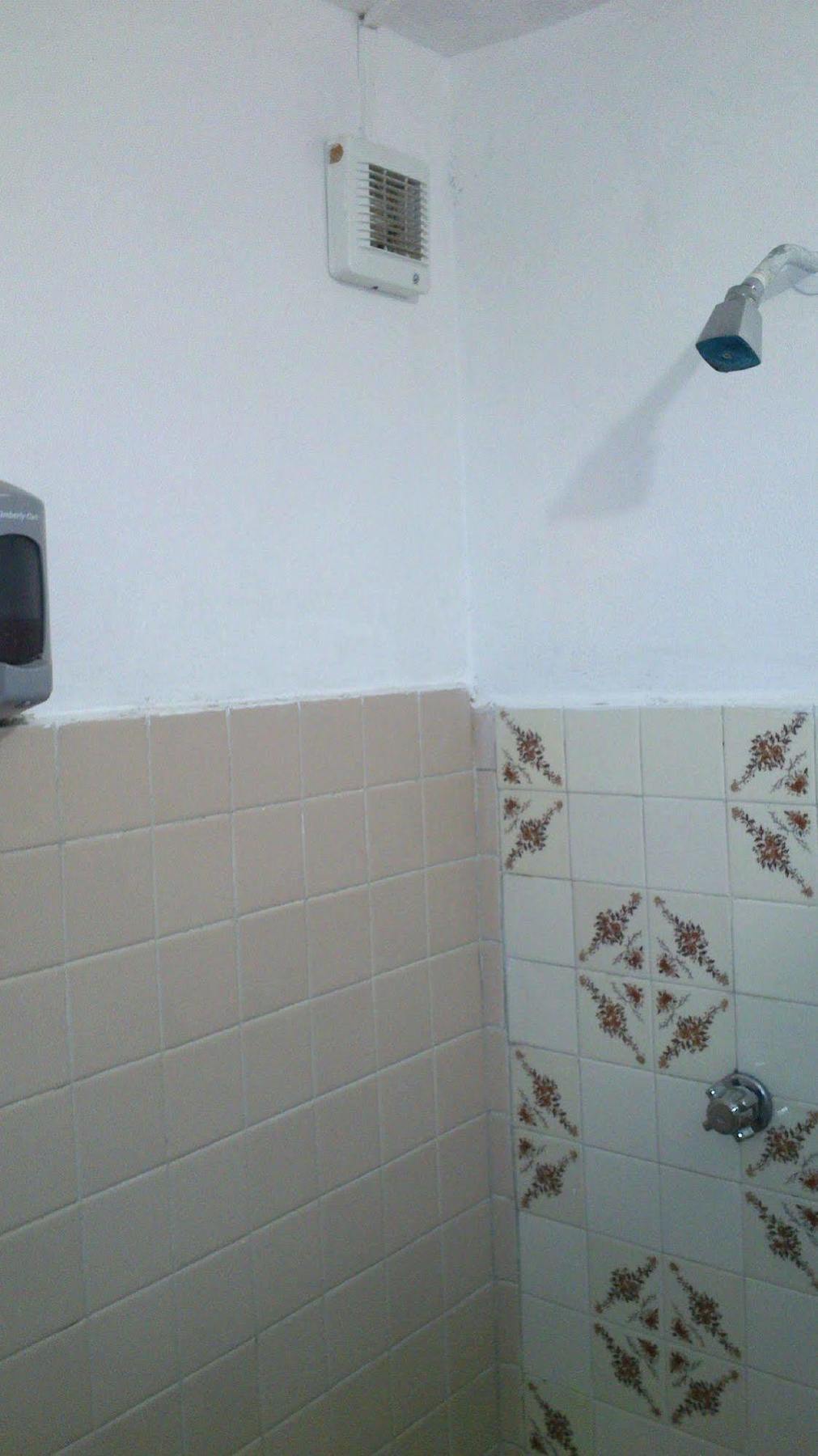Amigos Hostel Κοζουμέλ Εξωτερικό φωτογραφία