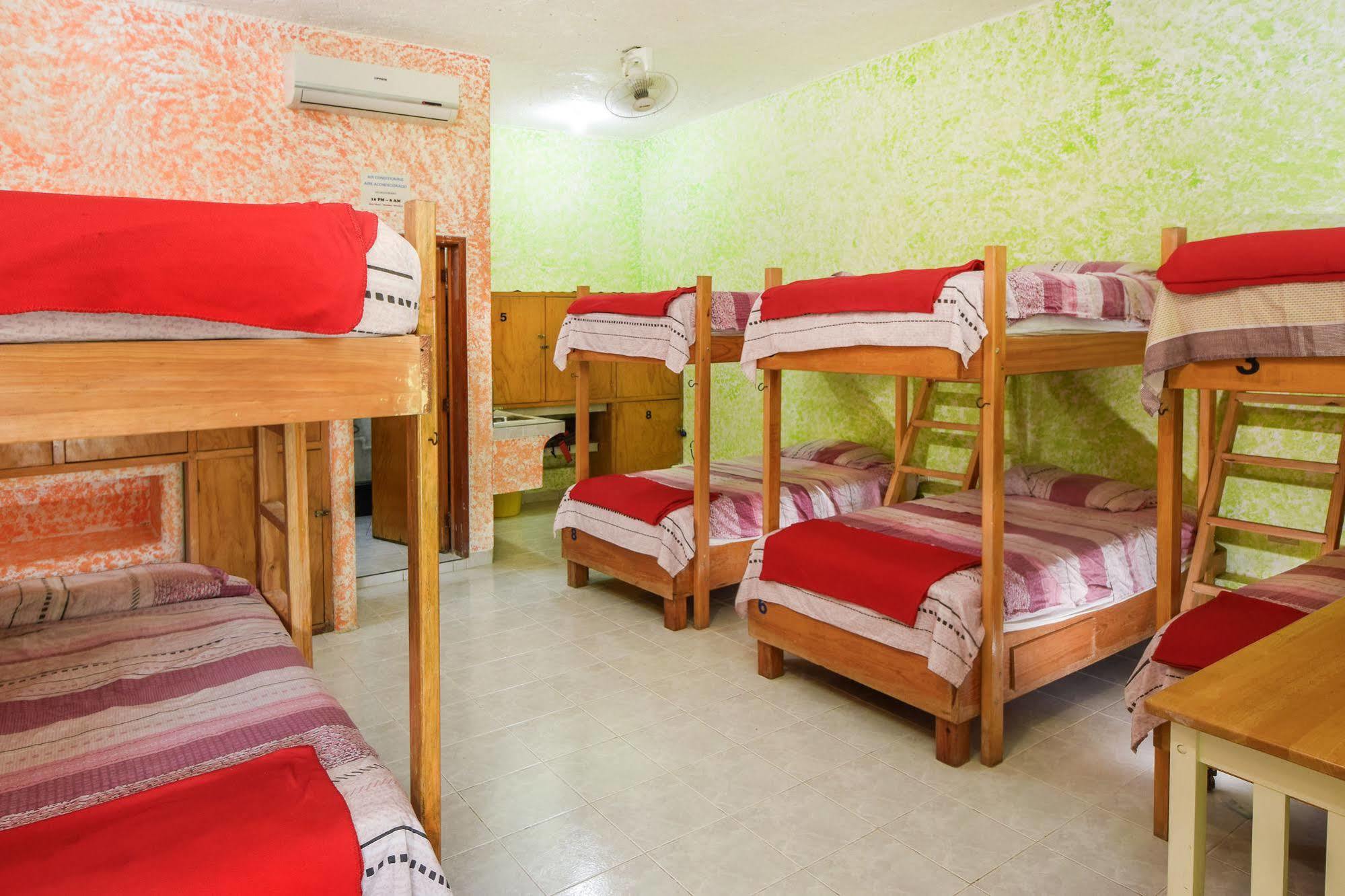 Amigos Hostel Κοζουμέλ Κρεβάτια του χόστελ φωτογραφία