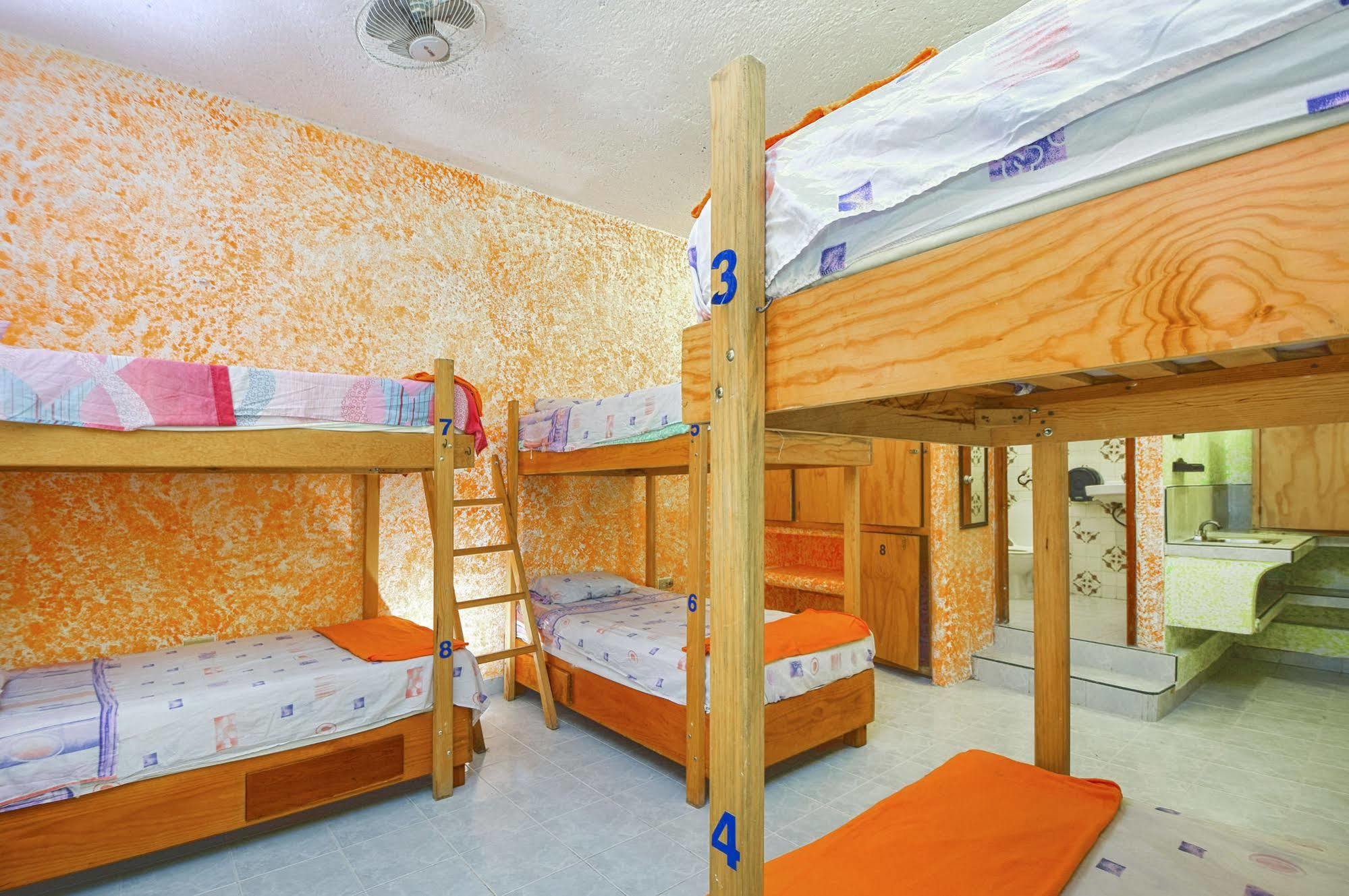 Amigos Hostel Κοζουμέλ Εξωτερικό φωτογραφία