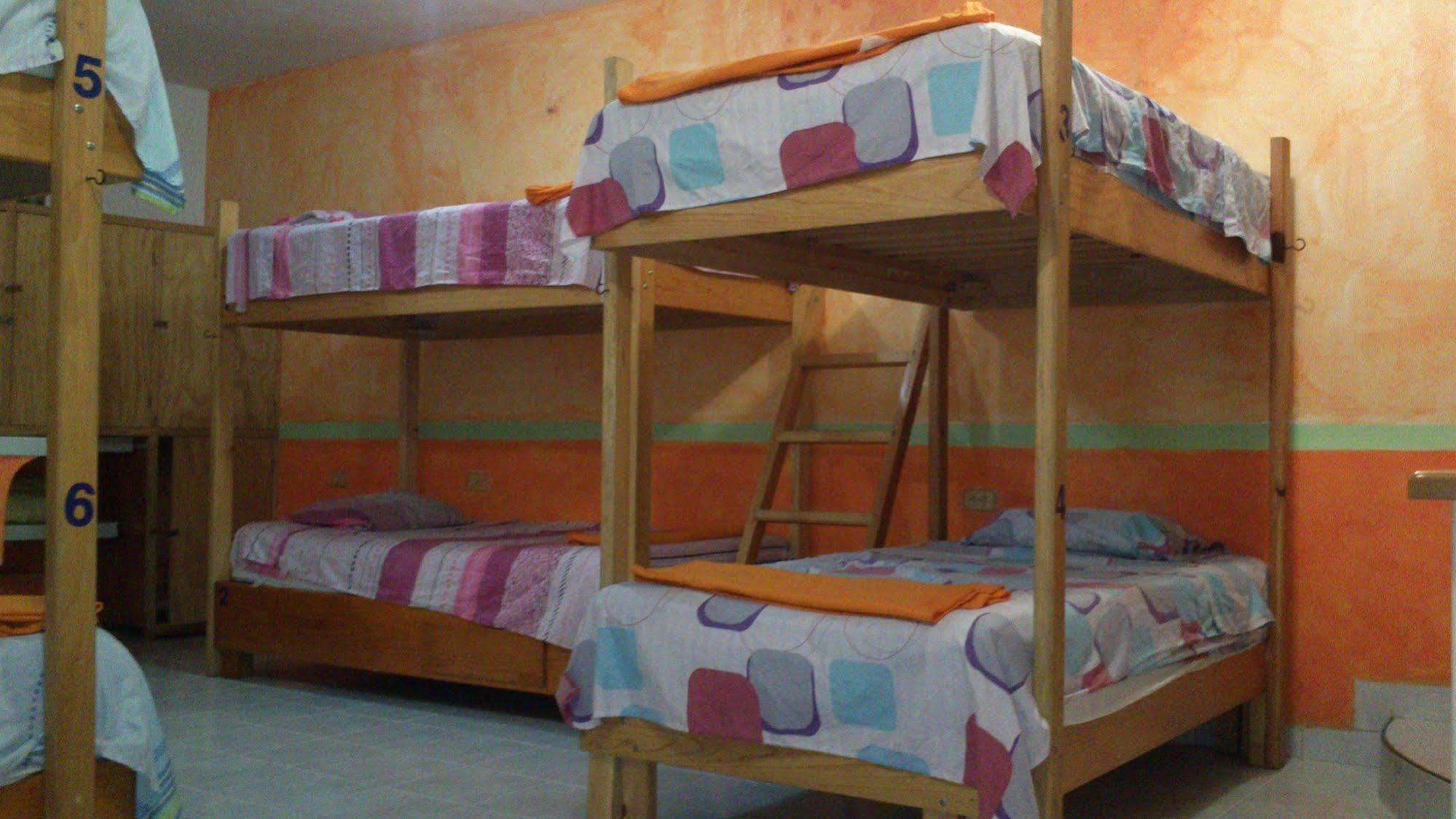 Amigos Hostel Κοζουμέλ Εξωτερικό φωτογραφία